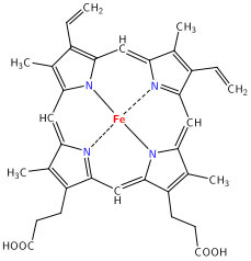 porphyrin structure of the haem unit in haemoglobin