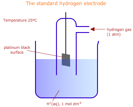 the standard hydrogen electrode