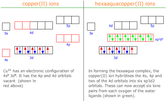 hybridisation in octahedral transition metal complex ions